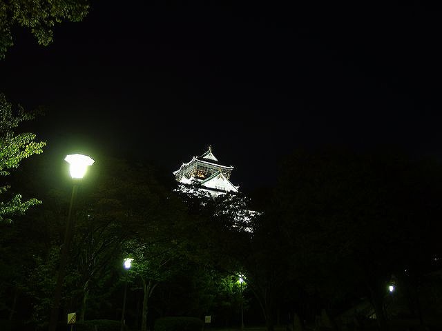 西日本随一 大阪城の梅林